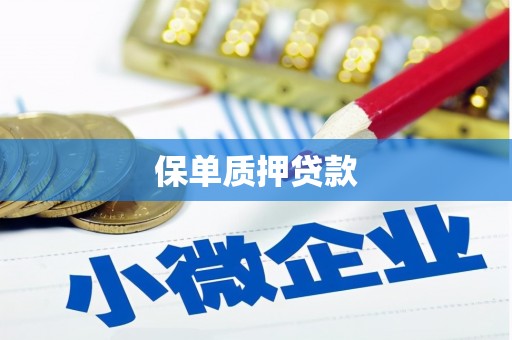 大内保单质押贷款