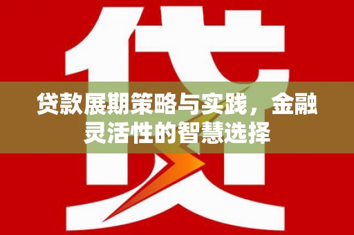 大内贷款展期策略与实践，金融灵活性的智慧选择
