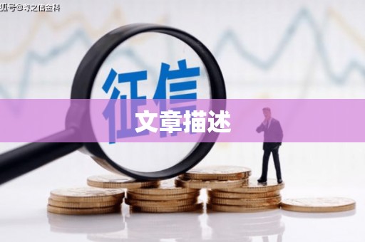大内文章描述