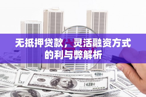 大内无抵押贷款，灵活融资方式的利与弊解析