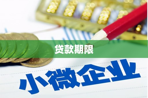 大内贷款期限