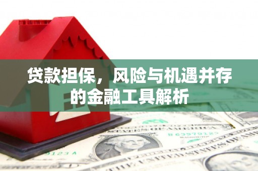 大内贷款担保，风险与机遇并存的金融工具解析