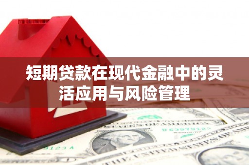 大内短期贷款在现代金融中的灵活应用与风险管理