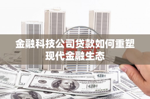大内金融科技公司贷款如何重塑现代金融生态