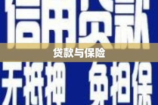 大内贷款与保险
