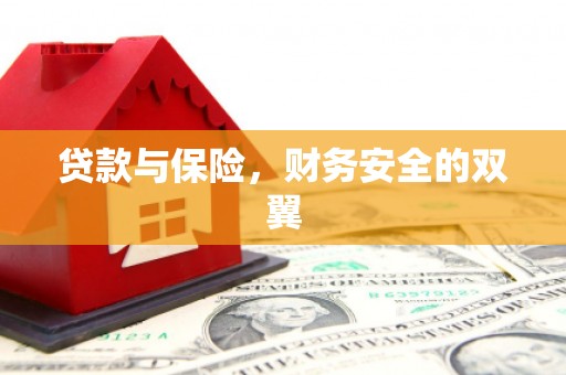 大内贷款与保险，财务安全的双翼