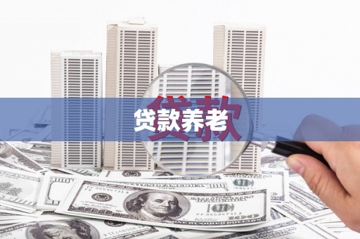 大内贷款养老