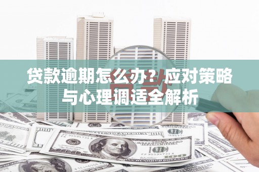 大内贷款逾期怎么办？应对策略与心理调适全解析