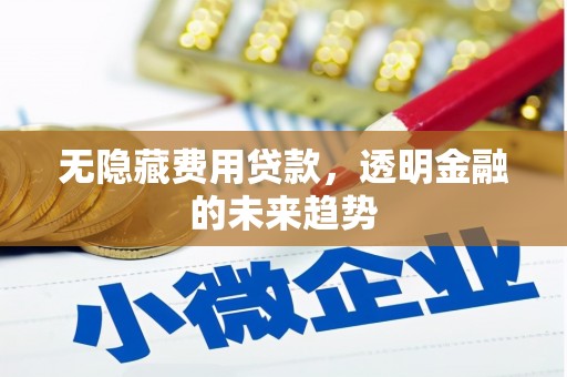 大内无隐藏费用贷款，透明金融的未来趋势