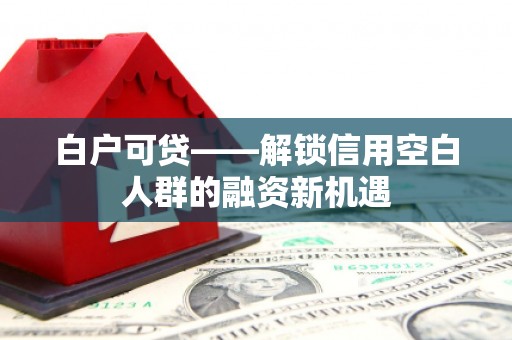 大内白户可贷——解锁信用空白人群的融资新机遇