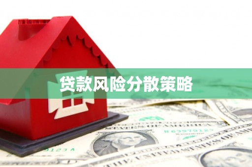 大内贷款风险分散策略