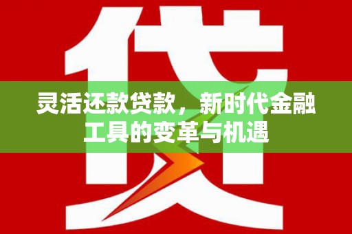 大内灵活还款贷款，新时代金融工具的变革与机遇