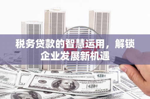 大内税务贷款的智慧运用，解锁企业发展新机遇