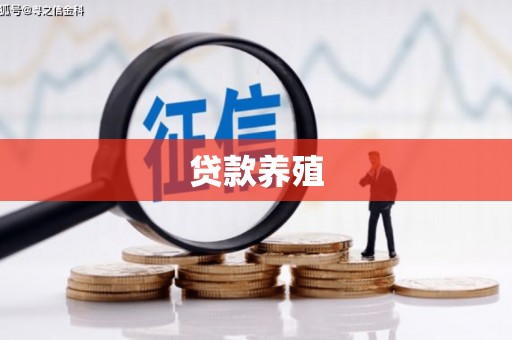 大内贷款养殖