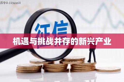 大内机遇与挑战并存的新兴产业