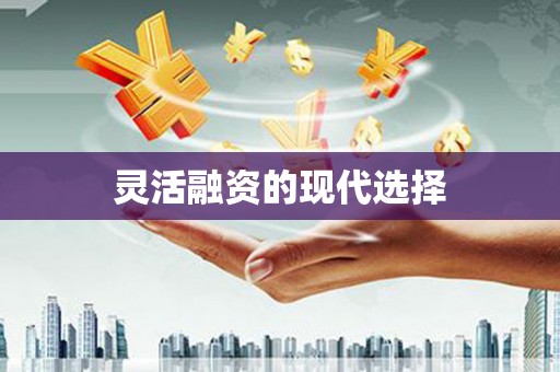 大内灵活融资的现代选择