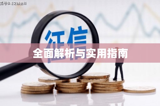 大内全面解析与实用指南