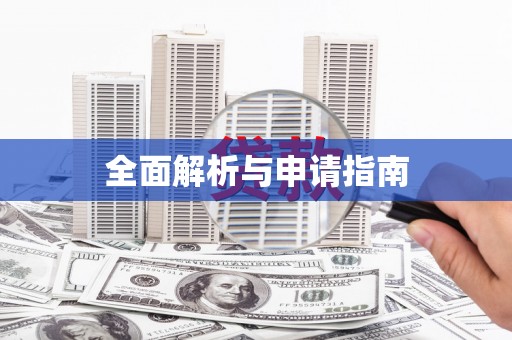 大内全面解析与申请指南