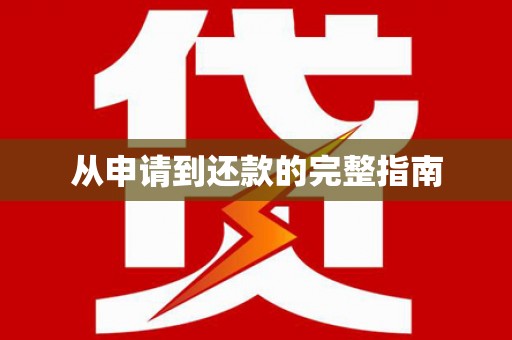 大内从申请到还款的完整指南