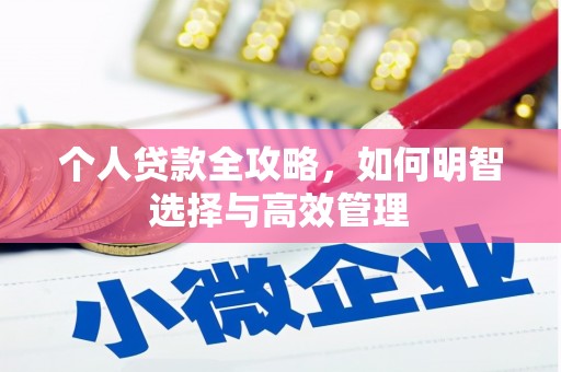 大内个人贷款全攻略，如何明智选择与高效管理