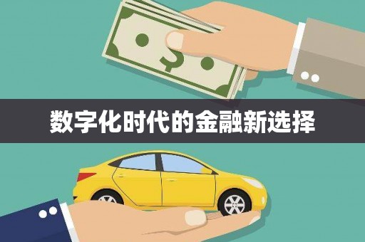 大内数字化时代的金融新选择