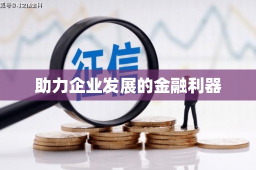 大内助力企业发展的金融利器