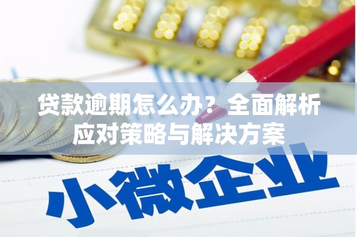 大内贷款逾期怎么办？全面解析应对策略与解决方案