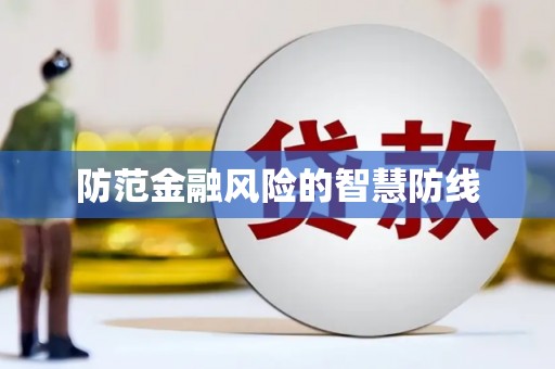 大内防范金融风险的智慧防线