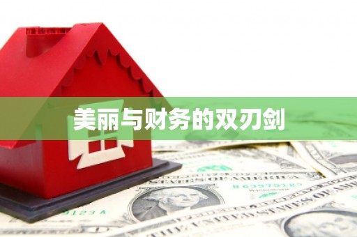 大内美丽与财务的双刃剑