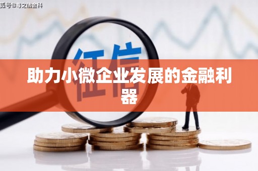 大内助力小微企业发展的金融利器