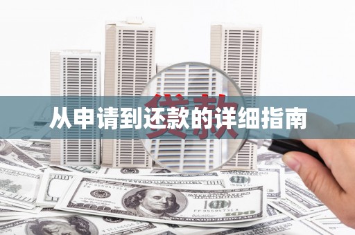 大内从申请到还款的详细指南
