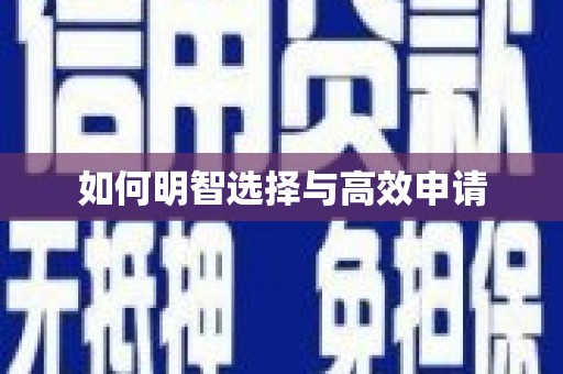 大内如何明智选择与高效申请