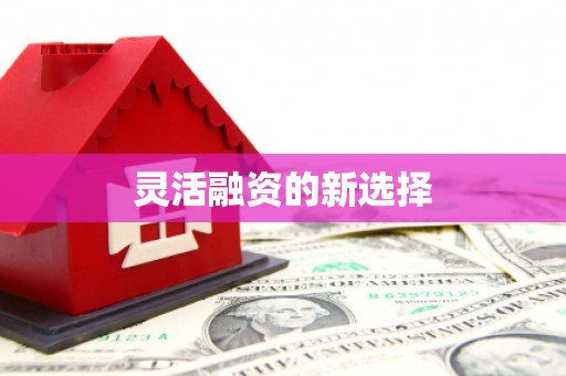 大内灵活融资的新选择