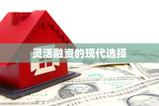 大内灵活融资的现代选择