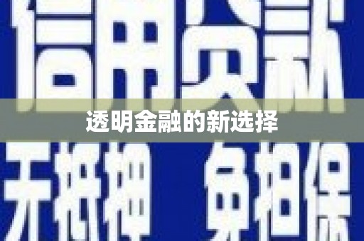 大内透明金融的新选择