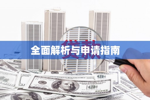 大内全面解析与申请指南