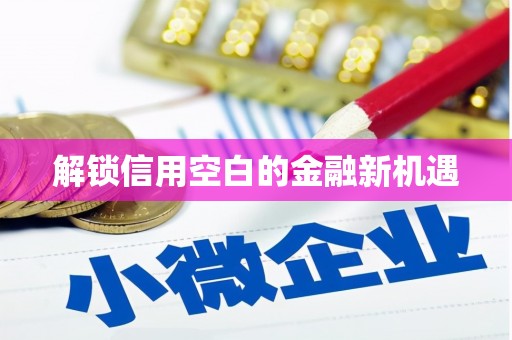 大内解锁信用空白的金融新机遇