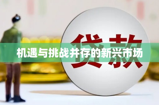大内机遇与挑战并存的新兴市场