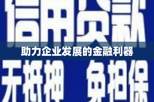 大内助力企业发展的金融利器