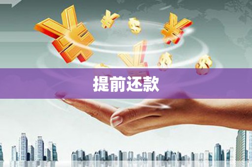 大内提前还款