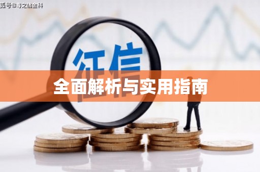 大内全面解析与实用指南