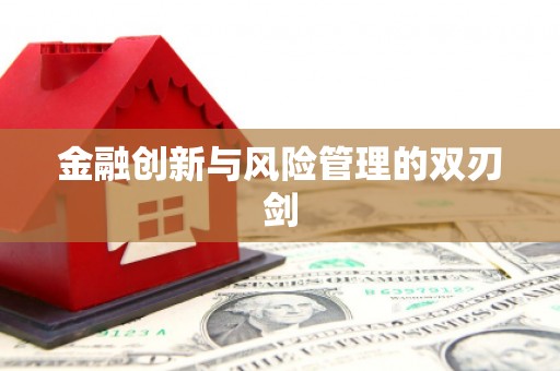 大内金融创新与风险管理的双刃剑