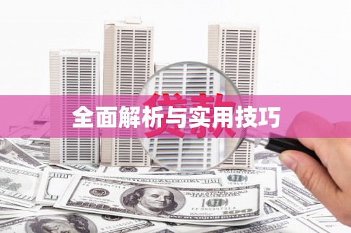 大内全面解析与实用技巧