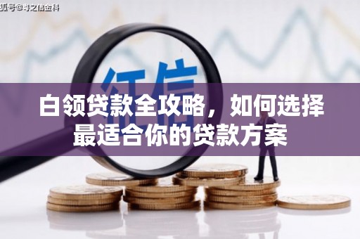 大内白领贷款全攻略，如何选择最适合你的贷款方案