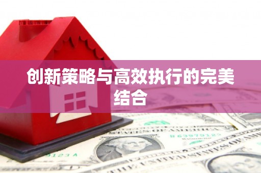 大内创新策略与高效执行的完美结合