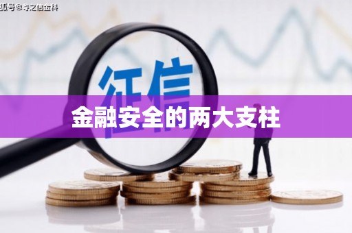 大内金融安全的两大支柱