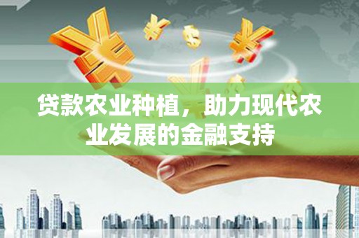 大内贷款农业种植，助力现代农业发展的金融支持