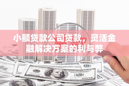 大内小额贷款公司贷款，灵活金融解决方案的利与弊