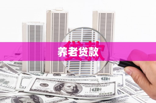 大内养老贷款